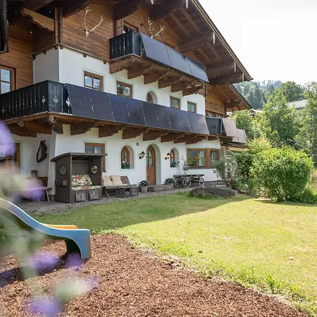 Apartment Appartementhaus Landhaus Alpenjuwel Sankt Johann im Pongau